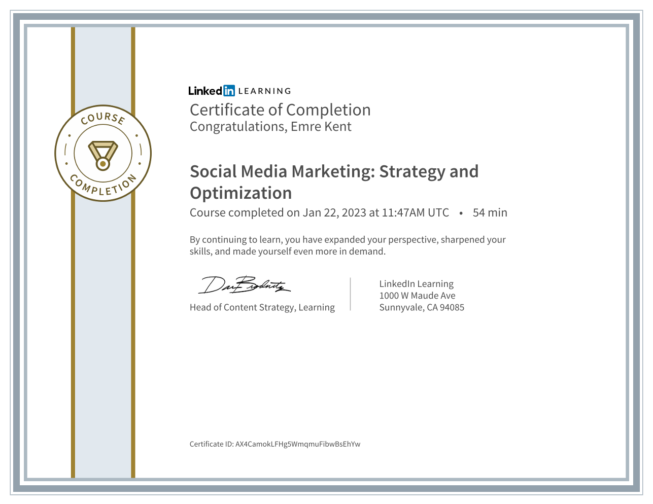 Social Media Marketing: Strategy and Optimization